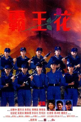 霸王花(国语版)海报
