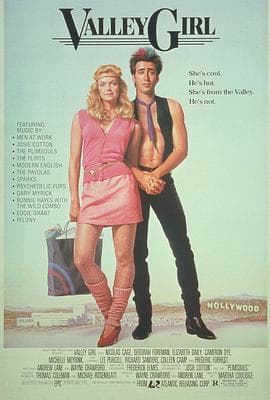 山谷女孩海报