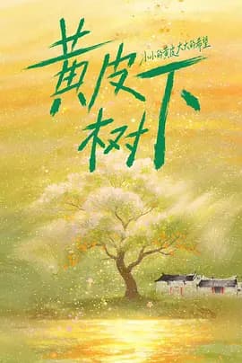 黄皮树下海报