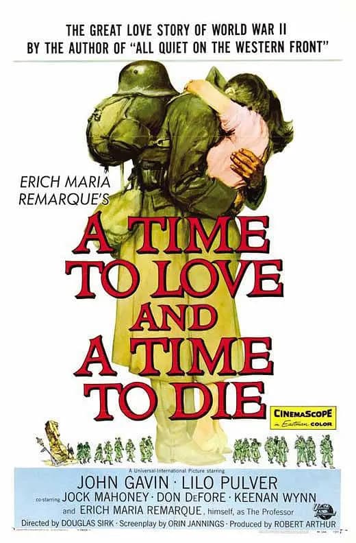 无情战地有情天海报